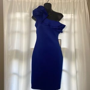 NWT royal blue scuba dress